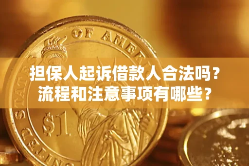 北京担保人起诉借款人合法吗？流程和注意事项有哪些？